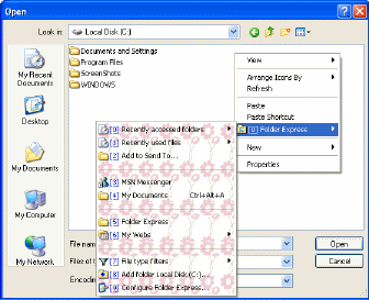 Folder Express Screenshot